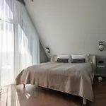 Kursiu Kopa Palanga